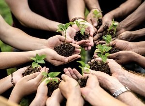 Rotary Environmental Work
