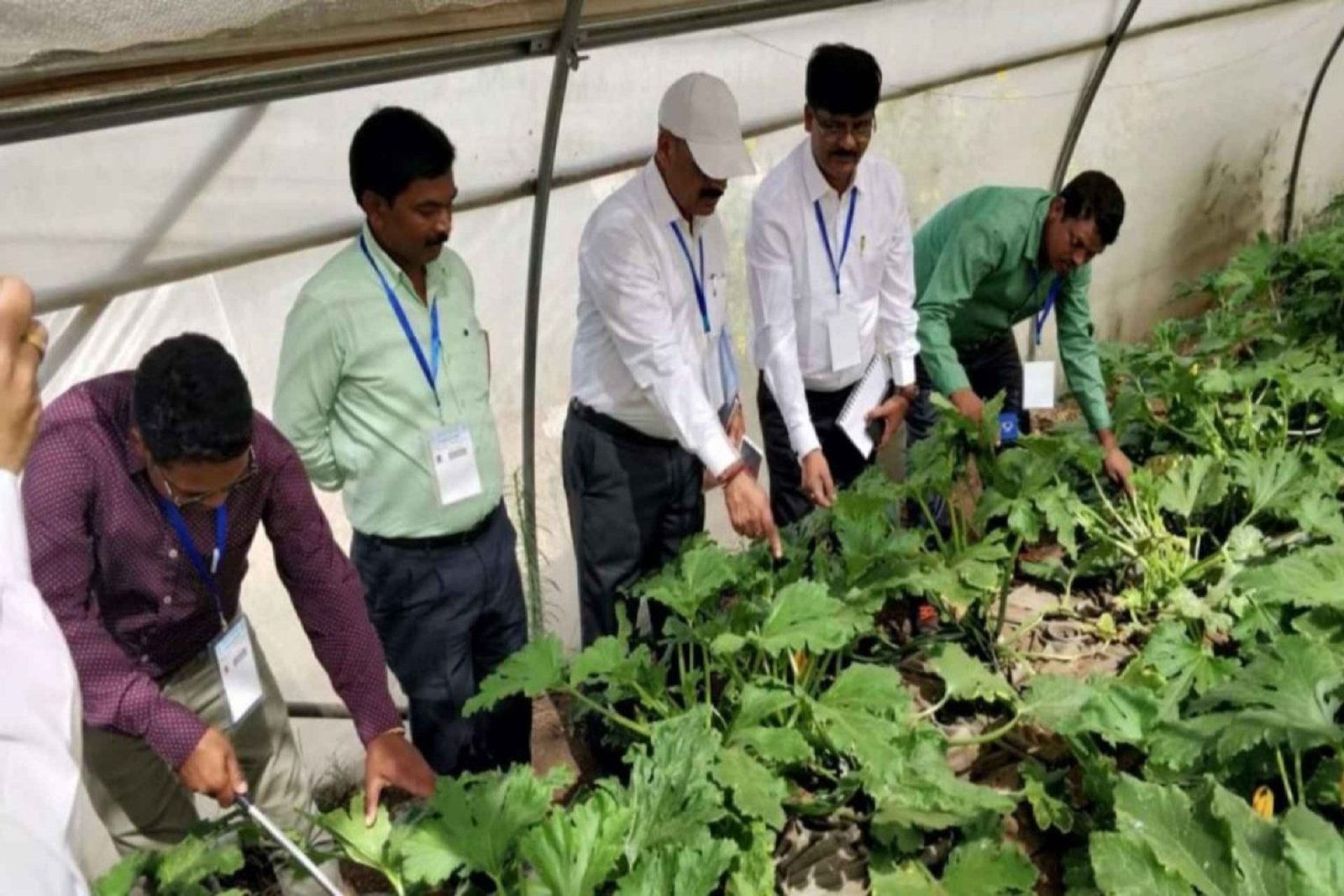 Tree Plantation Drive